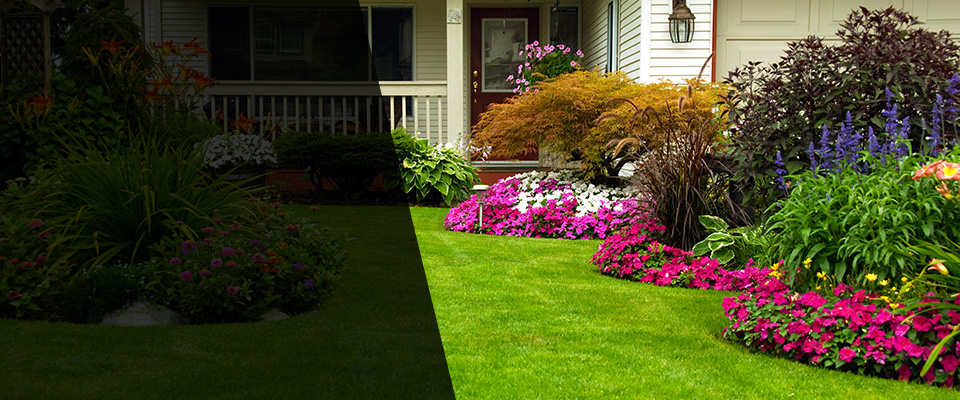 Port Neches Landscapers