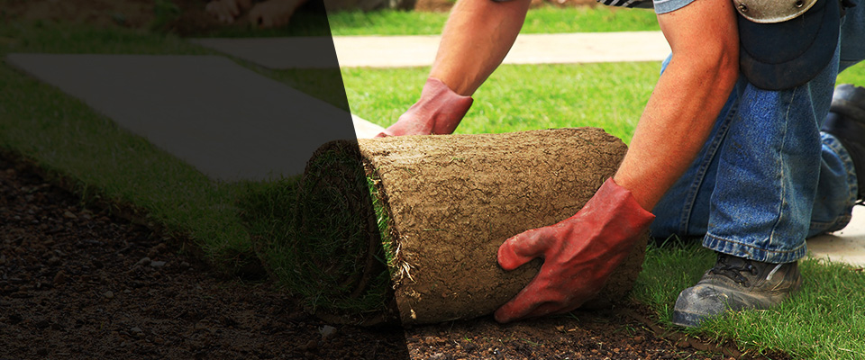 Port Neches Landscapers